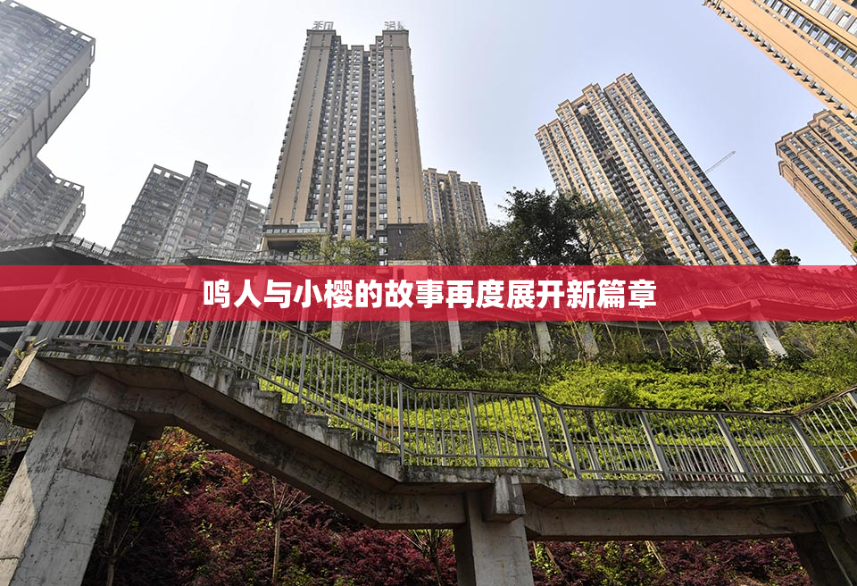 鸣人与小樱的故事再度展开新篇章