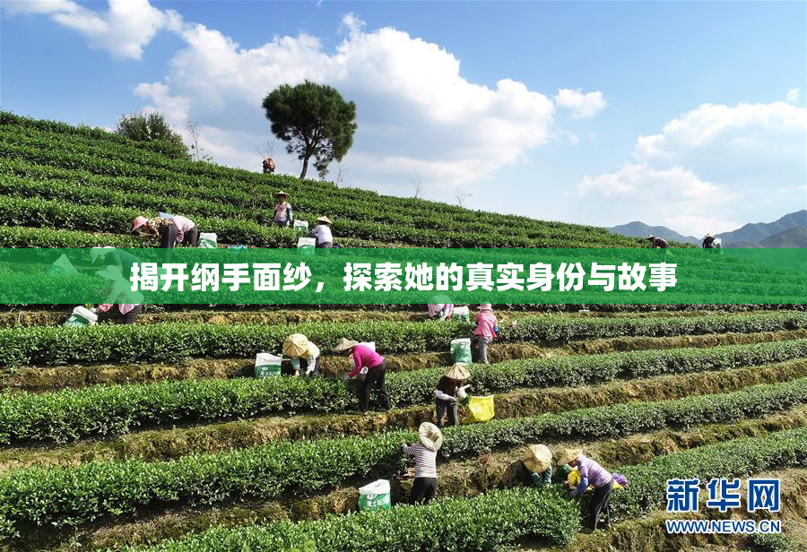 揭开纲手面纱，探索她的真实身份与故事