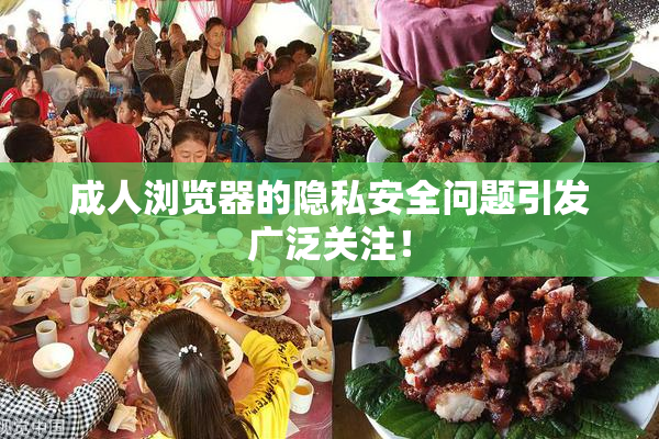 成人浏览器的隐私安全问题引发广泛关注！