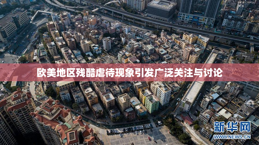 欧美地区残酷虐待现象引发广泛关注与讨论