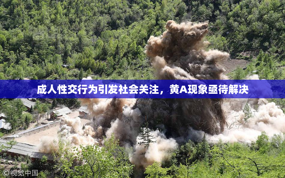 成人性交行为引发社会关注，黄A现象亟待解决