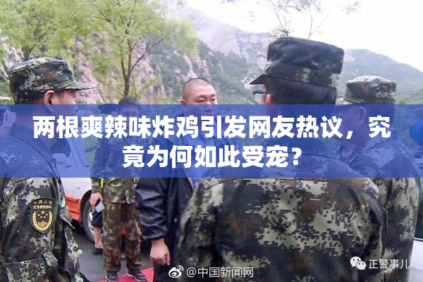 两根爽辣味炸鸡引发网友热议，究竟为何如此受宠？