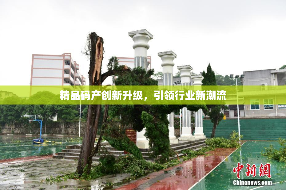 精品码产创新升级，引领行业新潮流