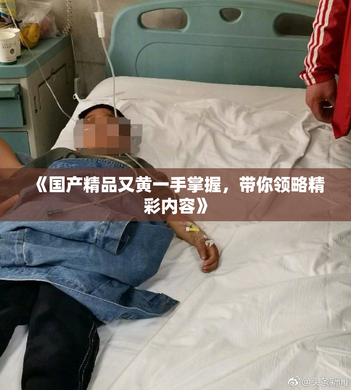 《国产精品又黄一手掌握，带你领略精彩内容》
