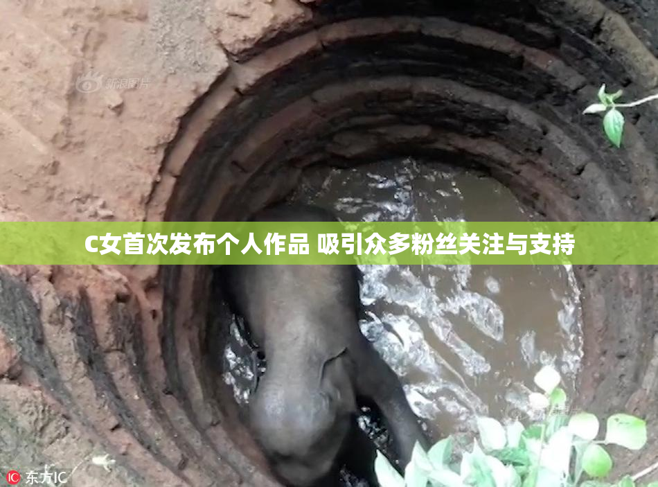 C女首次发布个人作品 吸引众多粉丝关注与支持