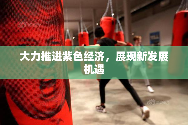 大力推进紫色经济，展现新发展机遇