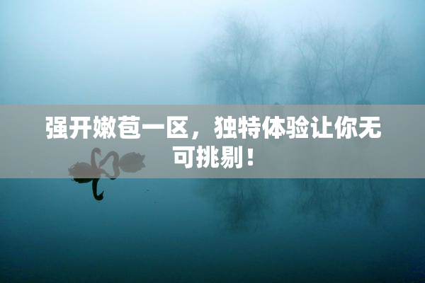 强开嫩苞一区，独特体验让你无可挑剔！
