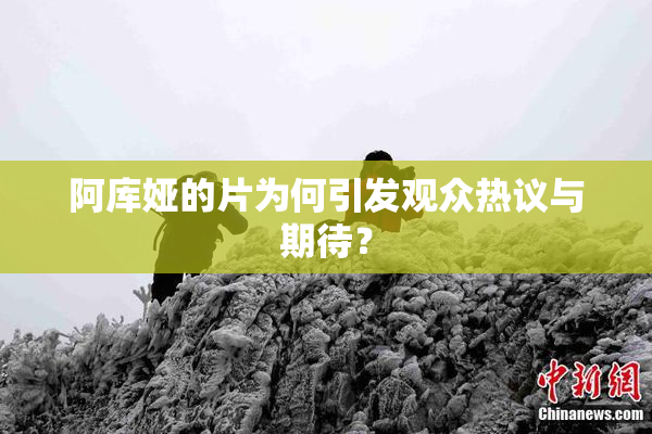 阿库娅的片为何引发观众热议与期待？