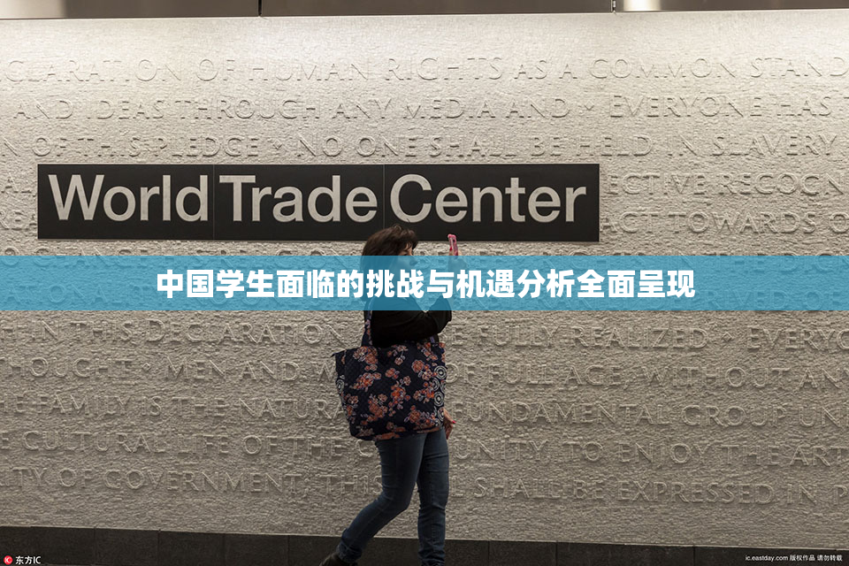 中国学生面临的挑战与机遇分析全面呈现