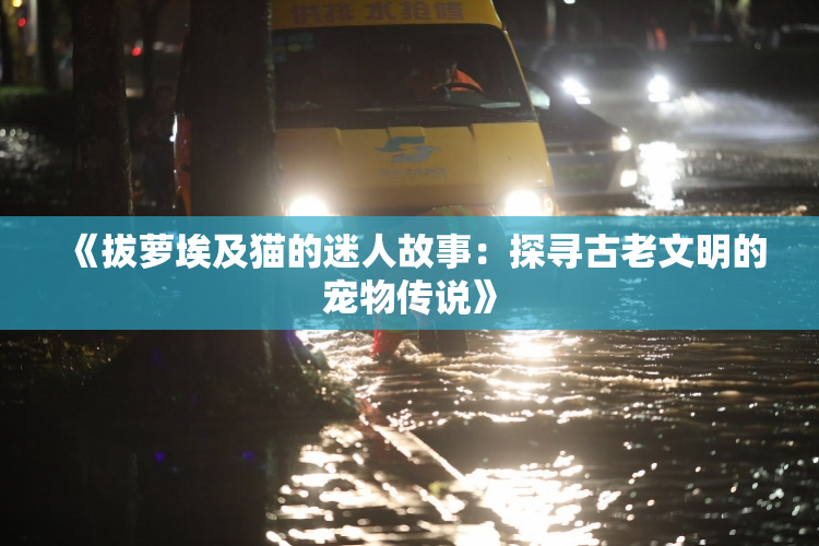 《拔萝埃及猫的迷人故事：探寻古老文明的宠物传说》