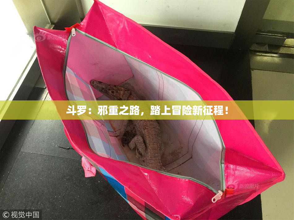 斗罗：邪重之路，踏上冒险新征程！