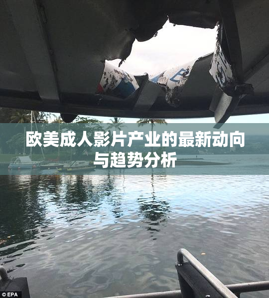 欧美成人影片产业的最新动向与趋势分析