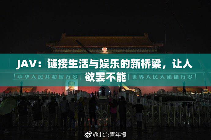JAV：链接生活与娱乐的新桥梁，让人欲罢不能