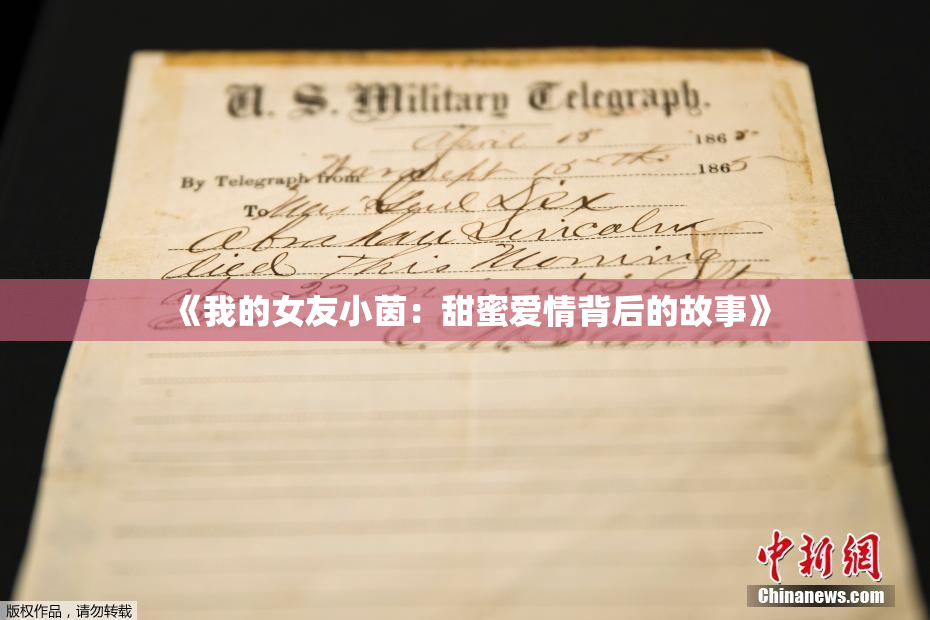 《我的女友小茵：甜蜜爱情背后的故事》