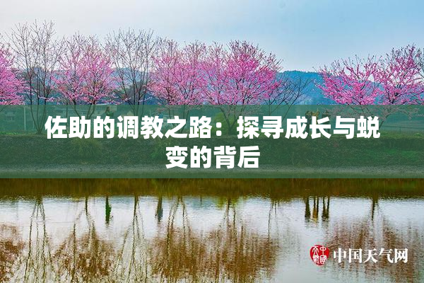 佐助的调教之路：探寻成长与蜕变的背后