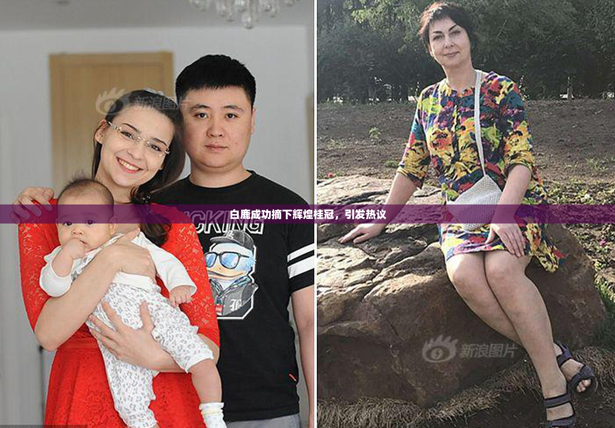 白鹿成功摘下辉煌桂冠，引发热议