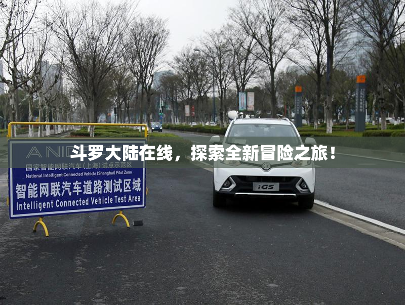 斗罗大陆在线，探索全新冒险之旅！