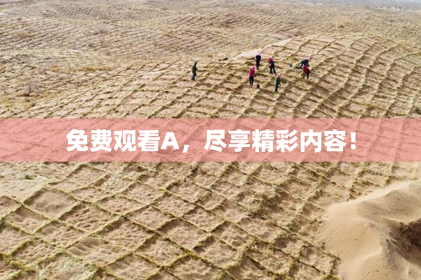 免费观看A，尽享精彩内容！