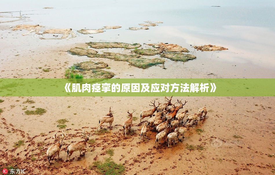 《肌肉痉挛的原因及应对方法解析》