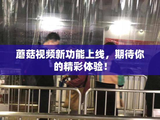 蘑菇视频新功能上线，期待你的精彩体验！