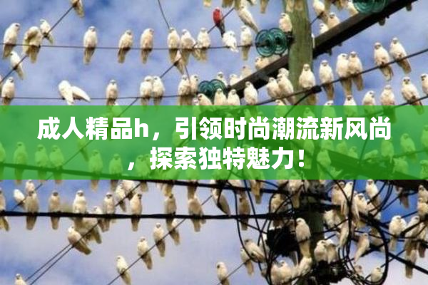 成人精品h，引领时尚潮流新风尚，探索独特魅力！