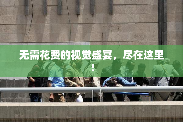 无需花费的视觉盛宴，尽在这里！