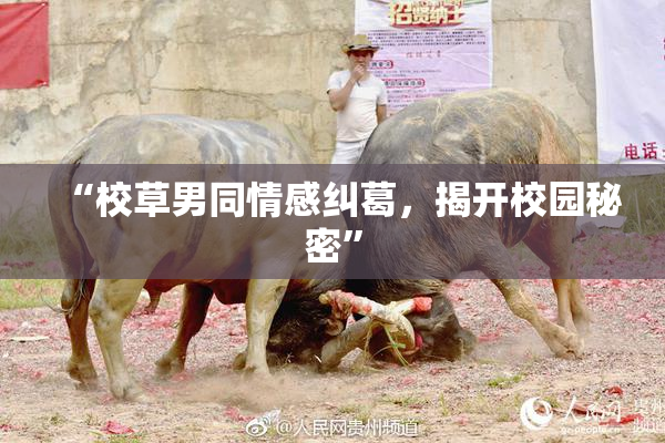 “校草男同情感纠葛，揭开校园秘密”