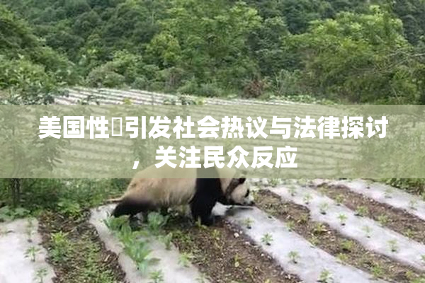 美国性婬引发社会热议与法律探讨，关注民众反应