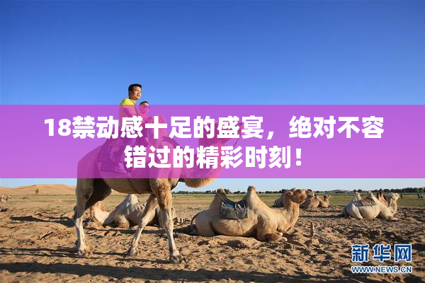 18禁动感十足的盛宴，绝对不容错过的精彩时刻！