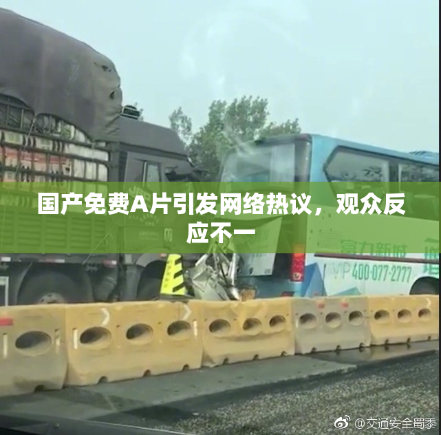 国产免费A片引发网络热议，观众反应不一