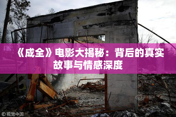 《成全》电影大揭秘：背后的真实故事与情感深度