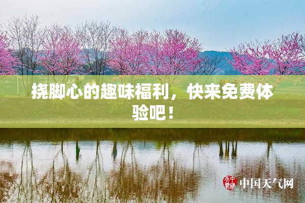 挠脚心的趣味福利，快来免费体验吧！