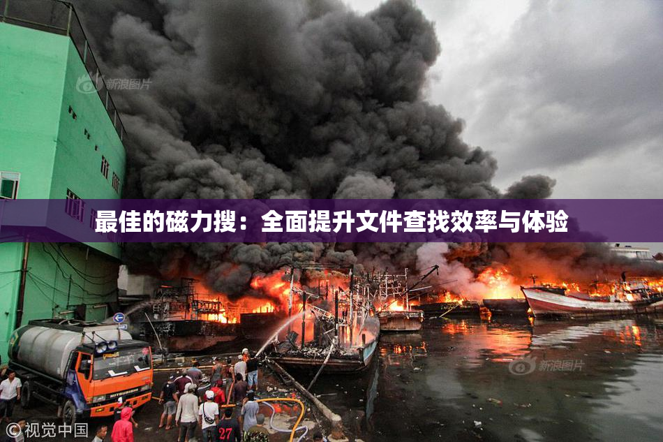 最佳的磁力搜：全面提升文件查找效率与体验