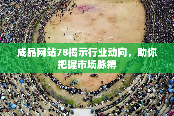 成品网站78揭示行业动向，助你把握市场脉搏