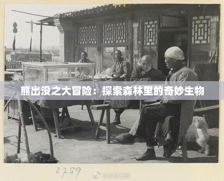 熊出没之大冒险：探索森林里的奇妙生物