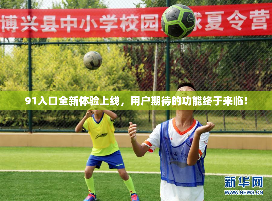 91入口全新体验上线，用户期待的功能终于来临！
