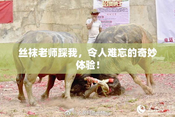 丝袜老师踩我，令人难忘的奇妙体验！