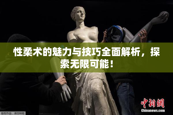 性柔术的魅力与技巧全面解析，探索无限可能！