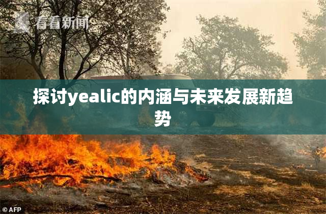 探讨yealic的内涵与未来发展新趋势