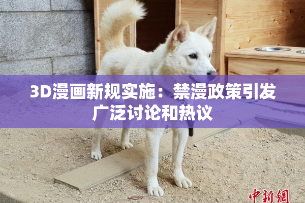 3D漫画新规实施：禁漫政策引发广泛讨论和热议