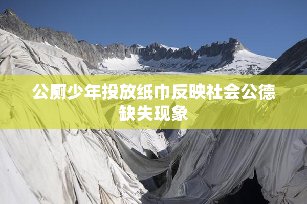 公厕少年投放纸巾反映社会公德缺失现象