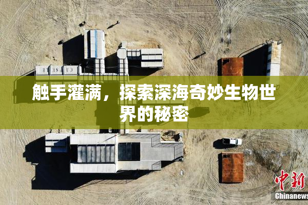 触手灌满，探索深海奇妙生物世界的秘密