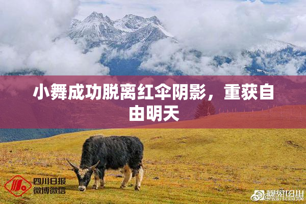 小舞成功脱离红伞阴影，重获自由明天