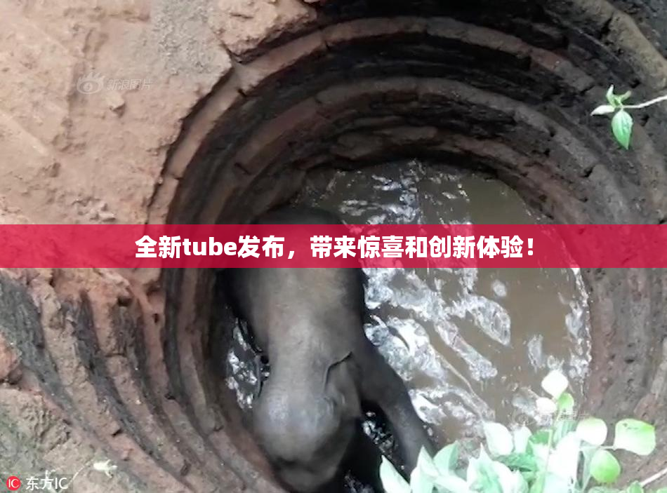 全新tube发布，带来惊喜和创新体验！