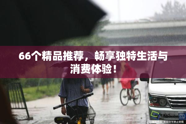 66个精品推荐，畅享独特生活与消费体验！