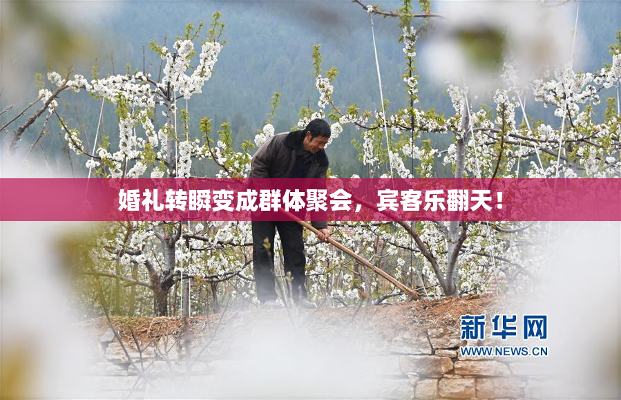 婚礼转瞬变成群体聚会，宾客乐翻天！