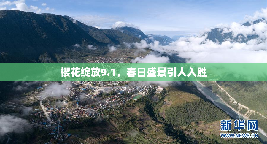 樱花绽放9.1，春日盛景引人入胜