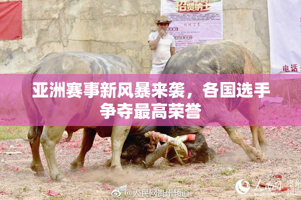 亚洲赛事新风暴来袭，各国选手争夺最高荣誉
