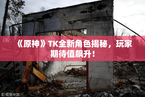 《原神》TK全新角色揭秘，玩家期待值飙升！