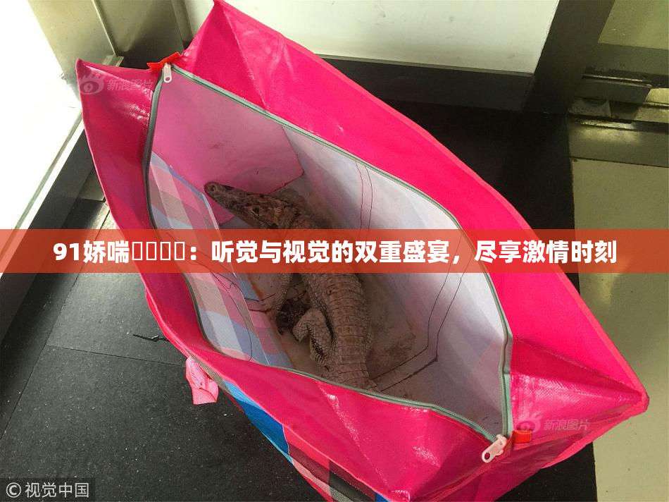 91娇喘❌‌❌‌：听觉与视觉的双重盛宴，尽享激情时刻